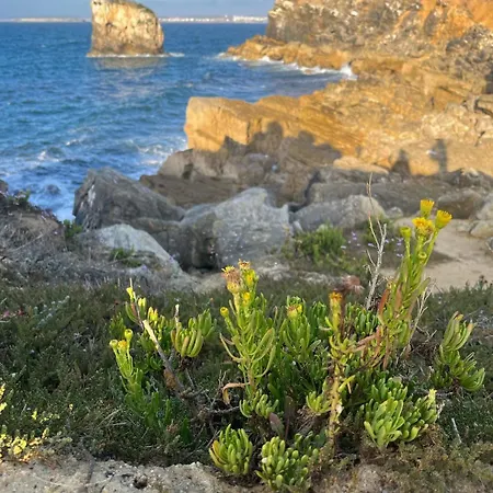 Peniche Hostel Vandrerhjem *