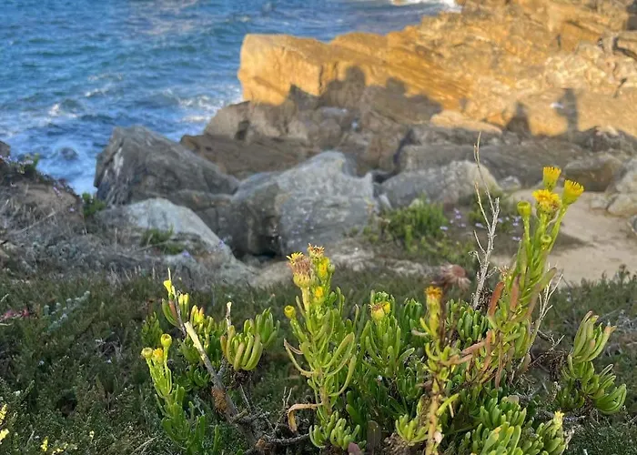 Peniche Hostel Hostal *